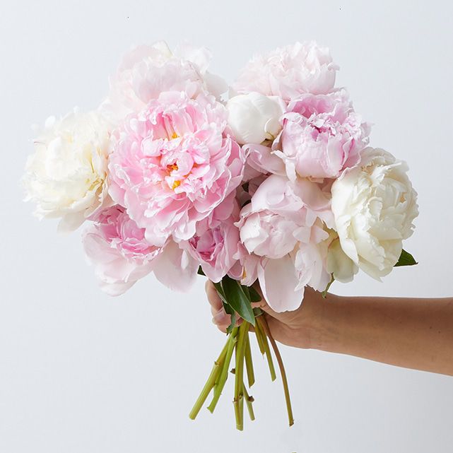 Farmer's Choice Peonies