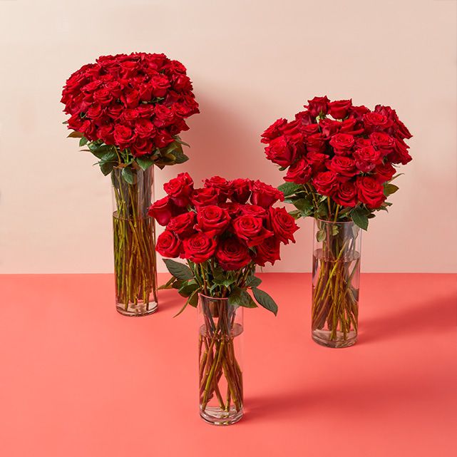 100 Red Roses